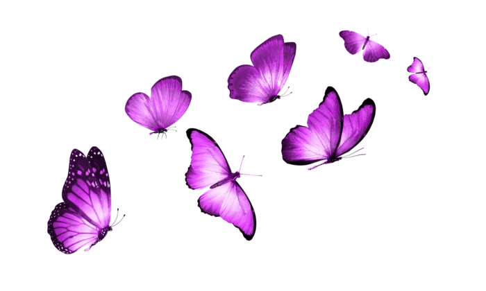 Butterflies